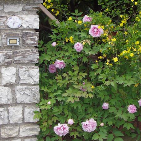 B&B Il Glicine Bedizzole Buitenkant foto