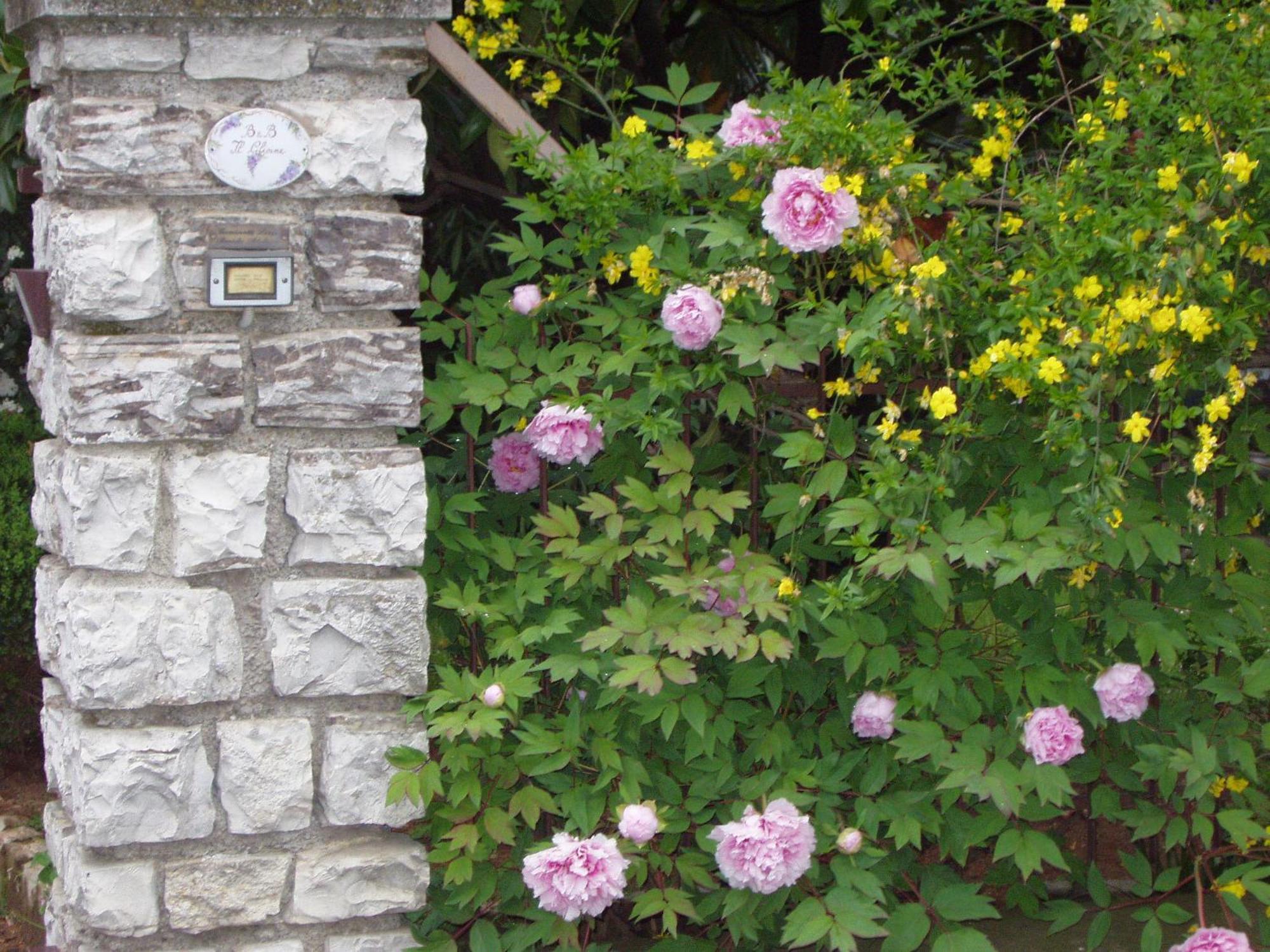 B&B Il Glicine Bedizzole Buitenkant foto