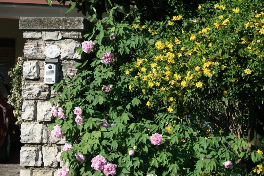 B&B Il Glicine Bedizzole Buitenkant foto