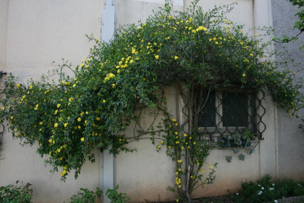 B&B Il Glicine Bedizzole Buitenkant foto