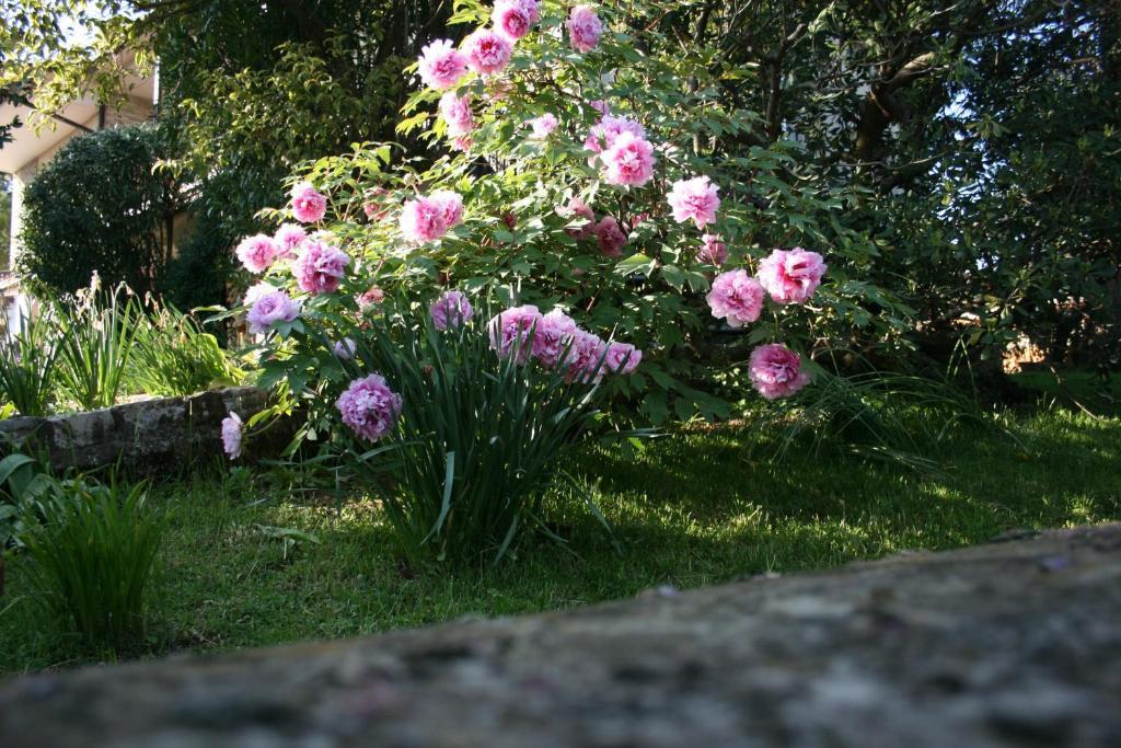 B&B Il Glicine Bedizzole Buitenkant foto